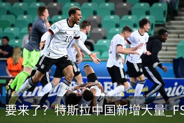要来了？特斯拉中国新增大量 FSD 功能和图标